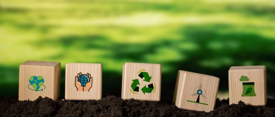 objetivos desarrollo sostenible impacto en organizaciones zitec consultoria medioambiental valladolid