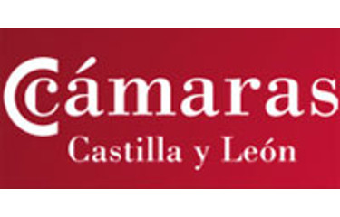 Consejo Regional de Cámaras Oficiales de Comercio e Industria de Castilla y León