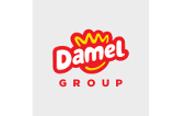 Damel Group